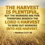 Morning Devotion