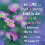 Morning Devotion