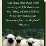 Morning Devotion