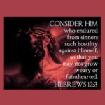 Morning Devotion
