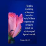 Morning Devotion