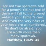 Morning Devotion