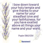 Morning Devotion