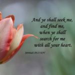 Morning Devotion