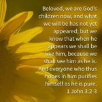 Morning Devotion