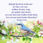 Morning Devotion