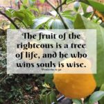 Morning Devotion