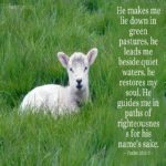 Morning Devotion