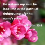 Morning Devotion