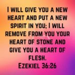 Morning Devotion