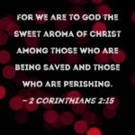 Morning Devotion