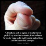 Morning Devotion