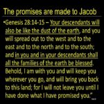 Morning Devotion