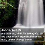 Morning Devotion