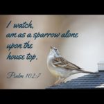 Morning Devotion