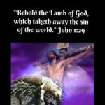 Morning Devotion