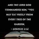 Morning Devotion