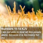 Morning Devotion