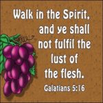Morning Devotion