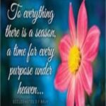 Amazing Grace Ministries Podcast