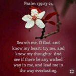 Amazing Grace Ministries Podcast